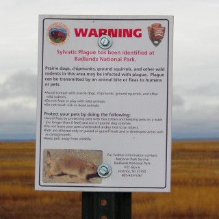 Badlands-Nationalpark. Prairie Dogs - Badlands-Nationalpark. - Schild, Landschaft, Tafel, National Park, Badlands-Nationalpark, Badlands Loop Road, Prairie Dogs - (Conata, Scenic, South Dakota, Vereinigte Staaten)