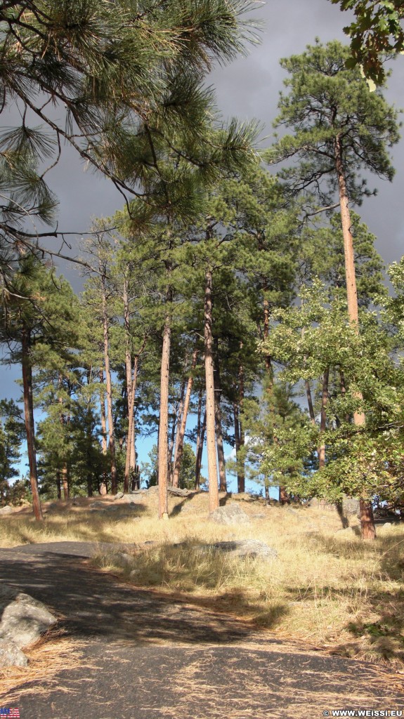 Devils Tower National Monument. Tower Trail - Devils Tower National Monument. - Sehenswürdigkeit, Bäume, Berg, Monolith, Devils Tower, Devils Tower National Monument, Wyoming, Attraktion, Teufelsturm, Tower Trail - (Devils Tower, Wyoming, Vereinigte Staaten)