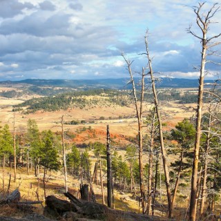 Devils Tower National Monument. Tower Trail - Devils Tower National Monument. - Sehenswürdigkeit, Landschaft, Bäume, Berg, Monolith, Attraktion, Teufelsturm, Tower Trail - (Devils Tower, Wyoming, Vereinigte Staaten)