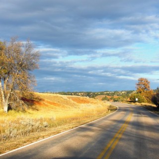On the Road. - Landschaft, Bäume, Devils Tower, Devils Tower National Monument, Wyoming - (Devils Tower, Wyoming, Vereinigte Staaten)