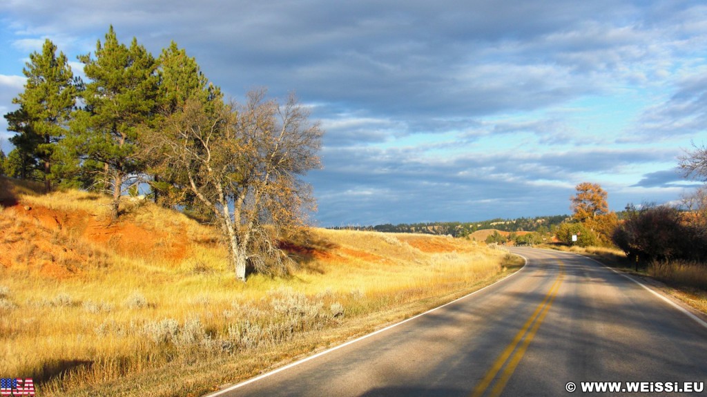 On the Road. - Landschaft, Bäume, Devils Tower, Devils Tower National Monument, Wyoming - (Devils Tower, Wyoming, Vereinigte Staaten)