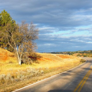 On the Road. - Landschaft, Bäume, Devils Tower, Devils Tower National Monument, Wyoming - (Devils Tower, Wyoming, Vereinigte Staaten)