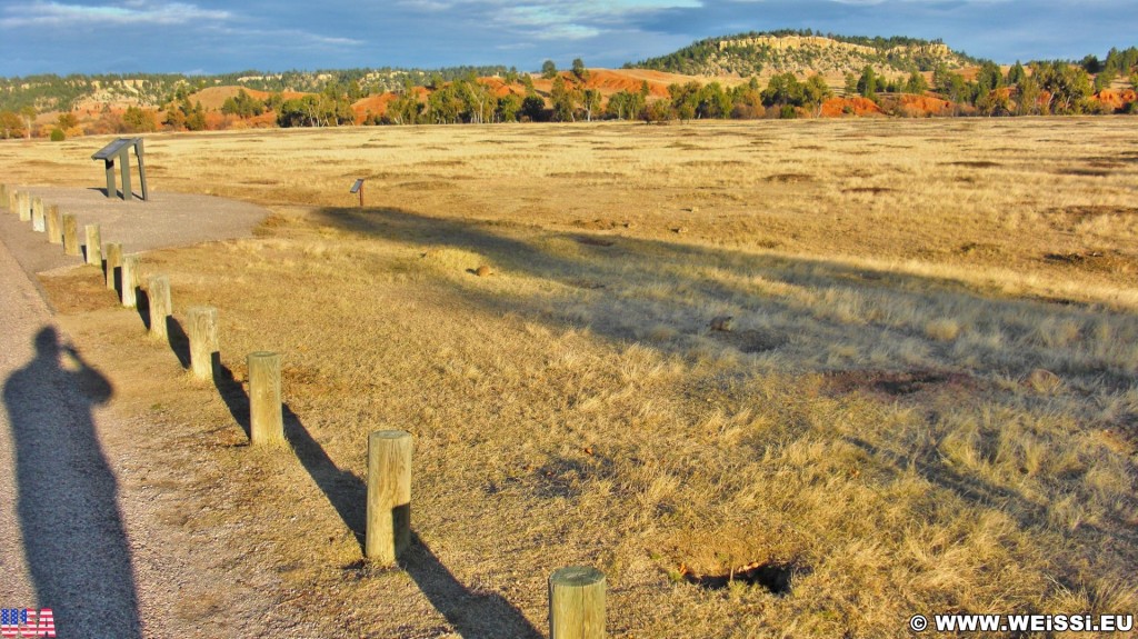 Prairie Dog Town. Prairie Dog Town - Devils Tower National Monument. - Landschaft, Tiere, Bäume, Devils Tower, Devils Tower National Monument, Wyoming, Prairie Dog Town, Präriehunde - (Devils Tower, Wyoming, Vereinigte Staaten)