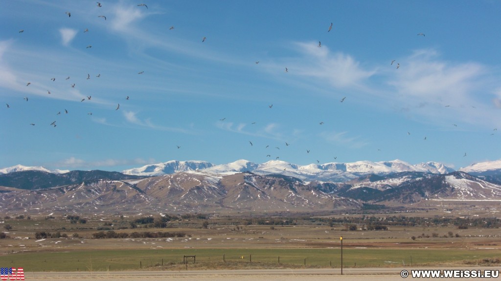 On the Road. Bighorn Mountains - On the Road. - Vogel, Landschaft, Interstate 90, I-90, Bighorn Mountains, Berge, Schnee, Highway, Bighorn National Forest - (Buffalo, Wyoming, Vereinigte Staaten)