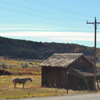 On the Road. Ten Sleep - On the Road. - Landschaft, Tier, Tiere, Bäume, Hütte, Holzhaus, Pferde, US Route 16, Bighorn Basin, Holzhütte, Telefonmast, Mast - (Ten Sleep, Wyoming, Vereinigte Staaten)