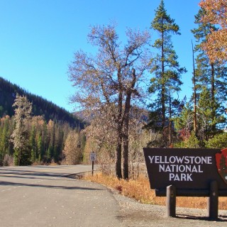 East Entrance Sign - Yellowstone-Nationalpark. - Strasse, Schild, Tafel, Ankünder, Einfahrtsschild, Osteingang, Einfahrt, Osteinfahrt - (Pahaska Tepee, Cody, Wyoming, Vereinigte Staaten)