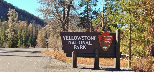 East Entrance Sign - Yellowstone-Nationalpark. - Strasse, Schild, Tafel, Ankünder, Einfahrtsschild, Osteingang, Einfahrt, Osteinfahrt - (Pahaska Tepee, Cody, Wyoming, Vereinigte Staaten)