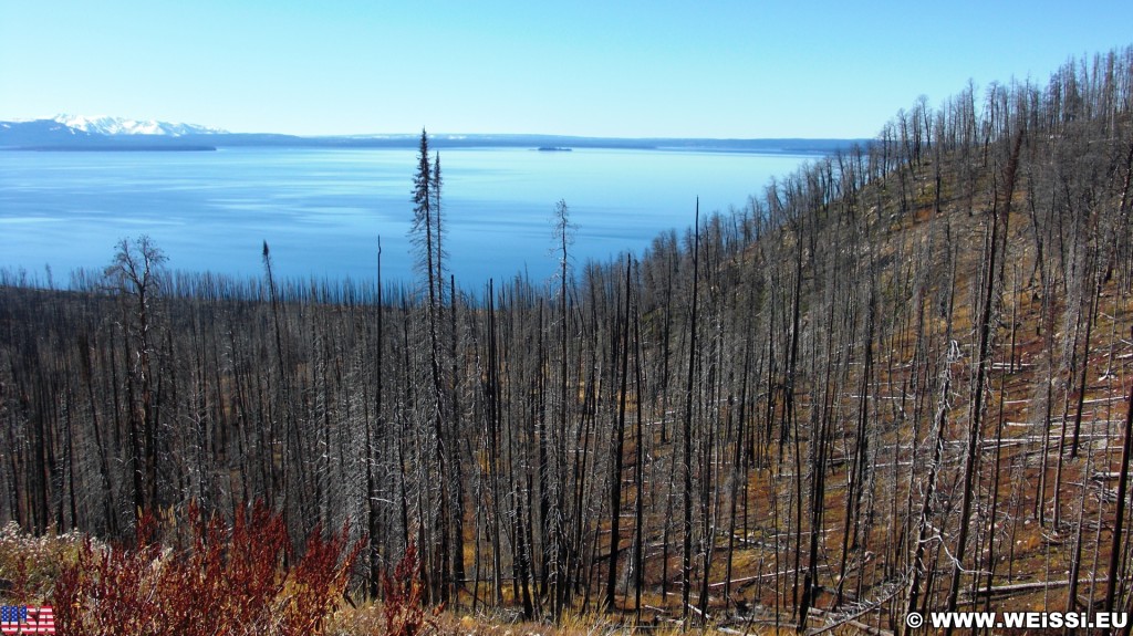 Lake Butte Overlook - Yellowstone-Nationalpark. - Bäume, See, Aussichtspunkt, Wasser, Lake Butte Overlook, Yellowstone Lake - (Lake, Yellowstone National Park, Wyoming, Vereinigte Staaten)