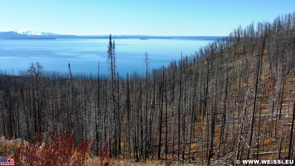 Lake Butte Overlook - Yellowstone-Nationalpark. - Bäume, See, Aussichtspunkt, Wasser, Lake Butte Overlook, Yellowstone Lake - (Lake, Yellowstone National Park, Wyoming, Vereinigte Staaten)