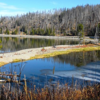 Yellowstone-Nationalpark. Holmes Point - Yellowstone-Nationalpark. - Aussichtspunkt, Wasser, Yellowstone Lake, Holmes Point, Eis - (Lake, Yellowstone National Park, Wyoming, Vereinigte Staaten)
