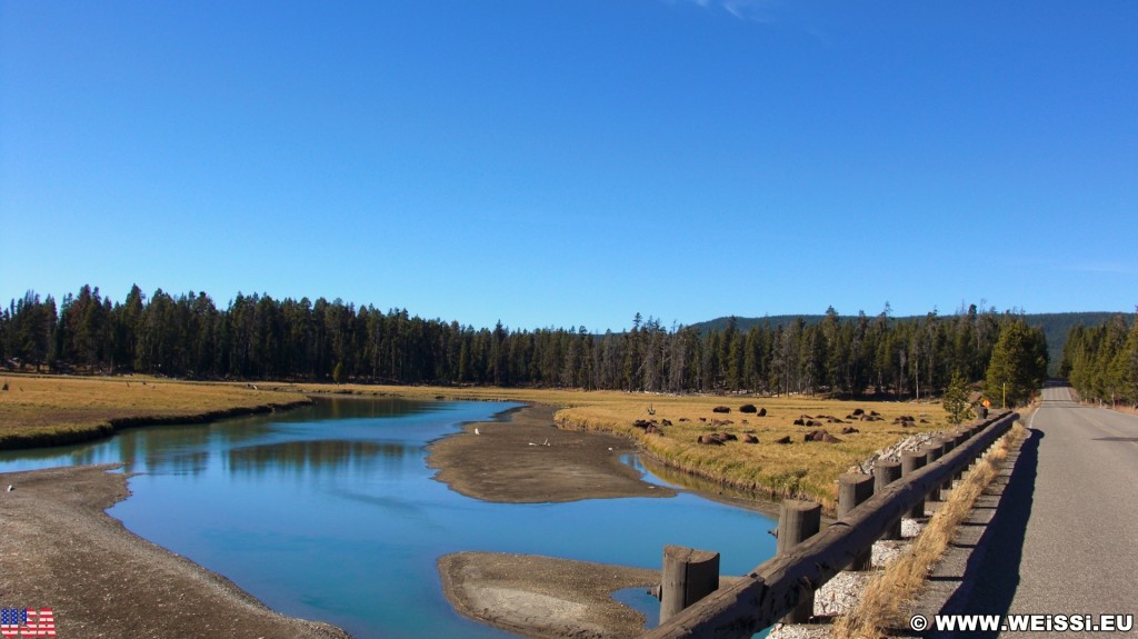 Yellowstone-Nationalpark. Pelican Valley - Yellowstone-Nationalpark. - Bäume, Fluss, Wasser, Büffel, Bisons, Yellowstone Lake, Pelican Valley, Herde, Pelican Creek, Flussbett, Ufer - (Lake, Yellowstone National Park, Wyoming, Vereinigte Staaten)