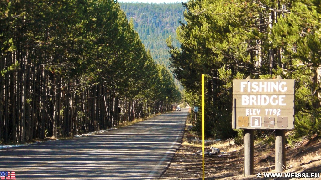 Yellowstone-Nationalpark. Fishing Bridge - Yellowstone-Nationalpark. - Strasse, Schild, Tafel, Ankünder, Bäume, Beschilderung, Yellowstone Lake, Fishing Bridge - (Lake, Yellowstone National Park, Wyoming, Vereinigte Staaten)