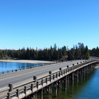 Yellowstone-Nationalpark. Fishing Bridge - Yellowstone-Nationalpark. - Brücke, Landschaft, Bäume, Fluss, Wasser, Ufer, Fishing Bridge, Brückenkonstruktion, Yellowstone River - (Lake, Yellowstone National Park, Wyoming, Vereinigte Staaten)