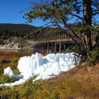 Yellowstone-Nationalpark. Fishing Bridge - Yellowstone-Nationalpark. - Brücke, Bäume, Fluss, Wasser, Schnee, Fishing Bridge, Yellowstone River - (Lake, Yellowstone National Park, Wyoming, Vereinigte Staaten)