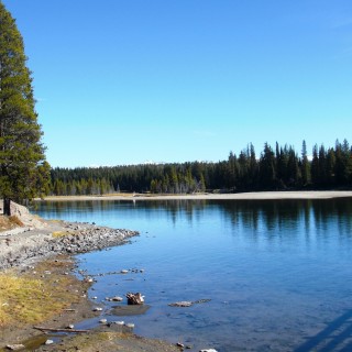 Yellowstone-Nationalpark. Fishing Bridge - Yellowstone-Nationalpark. - Landschaft, Bäume, Ufer, Fishing Bridge, Yellowstone River - (Lake, Yellowstone National Park, Wyoming, Vereinigte Staaten)