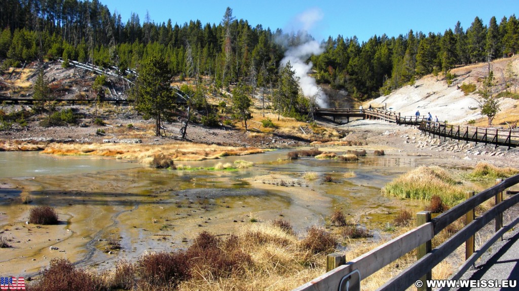 Yellowstone-Nationalpark. Mud Volcano Area - Dragons Mouth Spring - Yellowstone-Nationalpark. - Landschaft, Bäume, Exhalation, Wasserdampf, Dampfaustritt, Mud Volcano Area, Mud Volcano, Quelle, Dragons Mouth Spring, Holzsteg, Geländer, Holzgeländer - (Lake, Yellowstone National Park, Wyoming, Vereinigte Staaten)