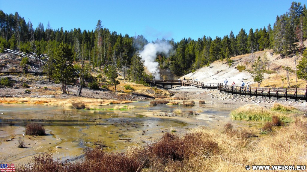 Yellowstone-Nationalpark. Mud Volcano Area - Dragons Mouth Spring - Yellowstone-Nationalpark. - Landschaft, Bäume, Exhalation, Wasserdampf, Dampfaustritt, Mud Volcano Area, Mud Volcano, Quelle, Dragons Mouth Spring, Holzsteg, Geländer, Holzgeländer - (Lake, Yellowstone National Park, Wyoming, Vereinigte Staaten)