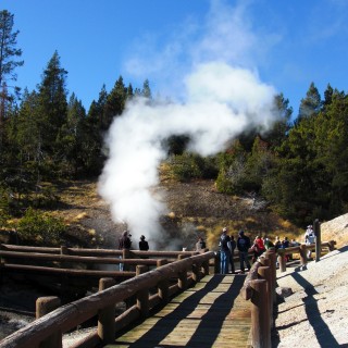 Yellowstone-Nationalpark. Mud Volcano Area - Dragons Mouth Spring - Yellowstone-Nationalpark. - Bäume, Exhalation, Wasserdampf, Dampfaustritt, Mud Volcano Area, Mud Volcano, Quelle, Dragons Mouth Spring, Holzsteg, Geländer, Holzgeländer - (Lake, Yellowstone National Park, Wyoming, Vereinigte Staaten)