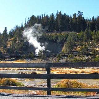 Yellowstone-Nationalpark. Mud Volcano - Yellowstone-Nationalpark. - Landschaft, Bäume, Exhalation, Wasserdampf, Dampfaustritt, Mud Volcano Area, Mud Volcano, Quelle, Holzsteg, Geländer, Holzgeländer - (Lake, Yellowstone National Park, Wyoming, Vereinigte Staaten)