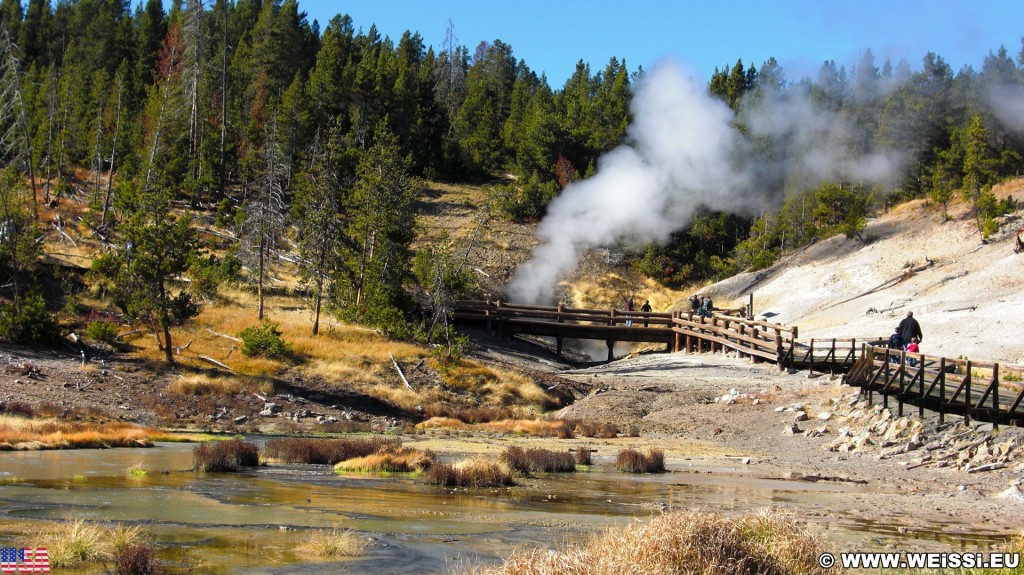 Yellowstone-Nationalpark. Mud Volcano Area - Dragons Mouth Spring - Yellowstone-Nationalpark. - Landschaft, Bäume, Exhalation, Wasserdampf, Dampfaustritt, Mud Volcano Area, Mud Volcano, Quelle, Dragons Mouth Spring, Holzsteg, Geländer, Holzgeländer - (Lake, Yellowstone National Park, Wyoming, Vereinigte Staaten)