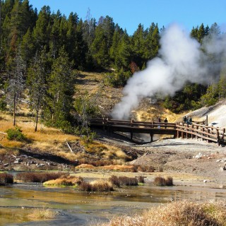 Yellowstone-Nationalpark. Mud Volcano Area - Dragons Mouth Spring - Yellowstone-Nationalpark. - Landschaft, Bäume, Exhalation, Wasserdampf, Dampfaustritt, Mud Volcano Area, Mud Volcano, Quelle, Dragons Mouth Spring, Holzsteg, Geländer, Holzgeländer - (Lake, Yellowstone National Park, Wyoming, Vereinigte Staaten)