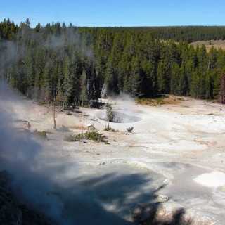 Yellowstone-Nationalpark. Sulphur Caldron - Yellowstone-Nationalpark. - Exhalation, Wasserdampf, Dampfaustritt, Quelle, Sulphur Caldron - (Lake, Yellowstone National Park, Wyoming, Vereinigte Staaten)
