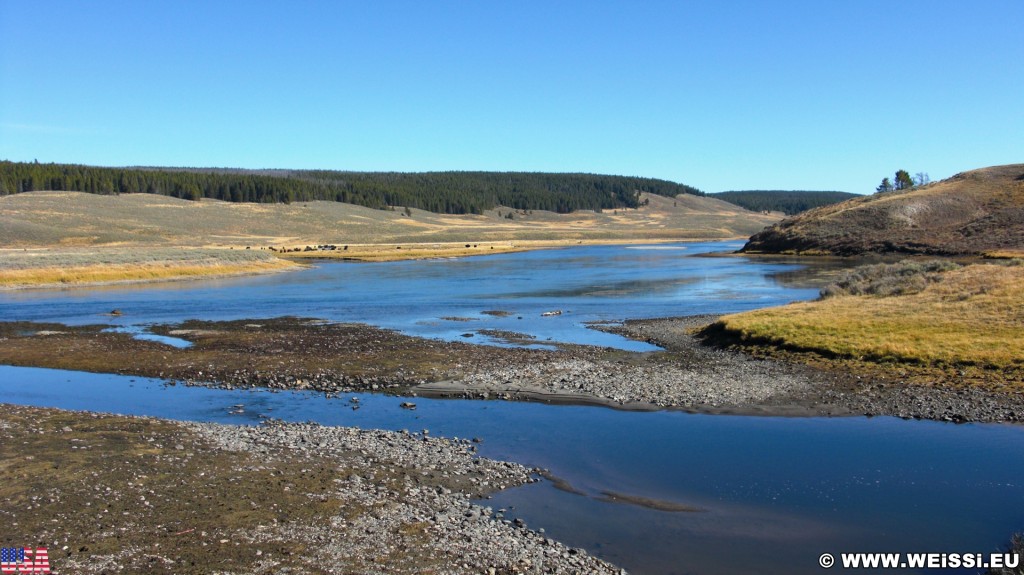 Yellowstone-Nationalpark. Hayden Valley - Yellowstone-Nationalpark. - Landschaft, Bäume, Tal, Wasser, Bisons, Herde, Yellowstone River, Hayden Valley - (Lake, Yellowstone National Park, Wyoming, Vereinigte Staaten)