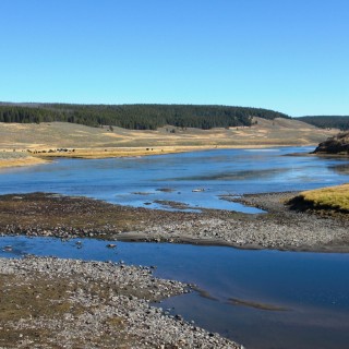 Yellowstone-Nationalpark. Hayden Valley - Yellowstone-Nationalpark. - Landschaft, Bäume, Tal, Wasser, Bisons, Herde, Yellowstone River, Hayden Valley - (Lake, Yellowstone National Park, Wyoming, Vereinigte Staaten)