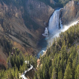 Yellowstone-Nationalpark. Lower Falls vom Lookout Point - Yellowstone-Nationalpark. - Bäume, Wasserfall, Wasserfälle, North Rim Drive, Lower Falls, Lookout Point - (Canyon Village, Yellowstone National Park, Wyoming, Vereinigte Staaten)