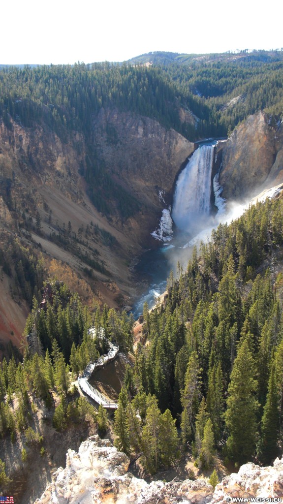 Yellowstone-Nationalpark. Lower Falls vom Lookout Point - Yellowstone-Nationalpark. - Bäume, Wasserfall, Wasserfälle, North Rim Drive, Lower Falls, Lookout Point - (Canyon Village, Yellowstone National Park, Wyoming, Vereinigte Staaten)