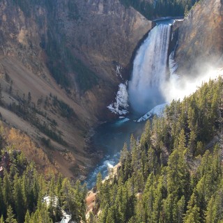 Yellowstone-Nationalpark. Lower Falls vom Lookout Point - Yellowstone-Nationalpark. - Bäume, Wasserfall, Wasserfälle, North Rim Drive, Lower Falls, Lookout Point - (Canyon Village, Yellowstone National Park, Wyoming, Vereinigte Staaten)
