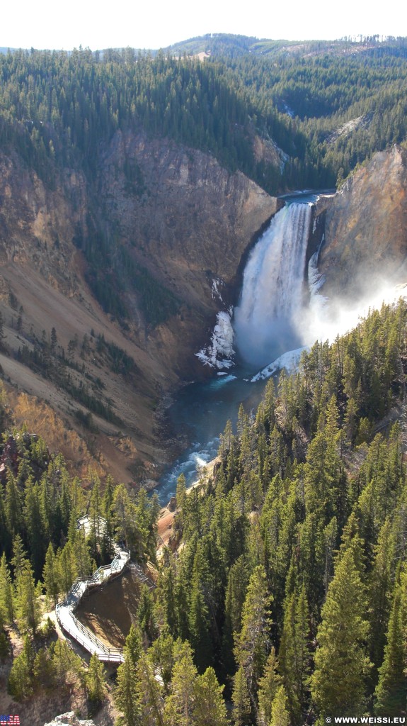 Yellowstone-Nationalpark. Lower Falls vom Lookout Point - Yellowstone-Nationalpark. - Bäume, Wasserfall, Wasserfälle, North Rim Drive, Lower Falls, Lookout Point - (Canyon Village, Yellowstone National Park, Wyoming, Vereinigte Staaten)