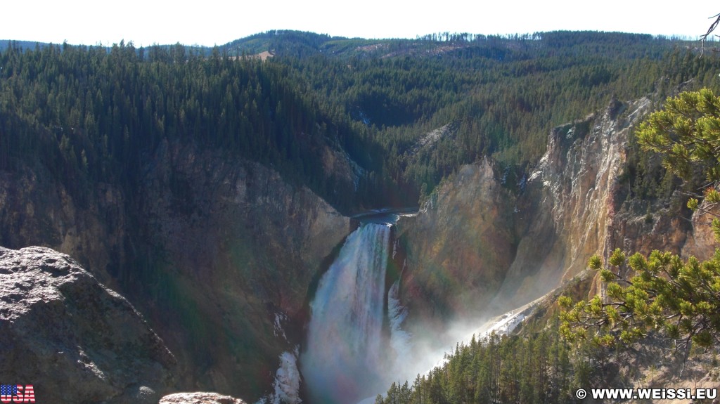 Yellowstone-Nationalpark. Lower Falls vom Lookout Point - Yellowstone-Nationalpark. - Bäume, Wasserfall, Wasserfälle, North Rim Drive, Lower Falls, Lookout Point - (Canyon Village, Yellowstone National Park, Wyoming, Vereinigte Staaten)