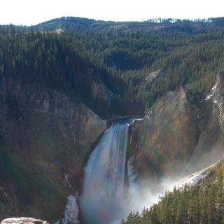 Yellowstone-Nationalpark. Lower Falls vom Lookout Point - Yellowstone-Nationalpark. - Bäume, Wasserfall, Wasserfälle, North Rim Drive, Lower Falls, Lookout Point - (Canyon Village, Yellowstone National Park, Wyoming, Vereinigte Staaten)