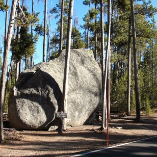 Yellowstone-Nationalpark. Glacial Boulder - Yellowstone-Nationalpark. - Bäume, Inspiration Point, Stein, North Rim Drive, Glacial Boulder, Fels - (Canyon Village, Yellowstone National Park, Wyoming, Vereinigte Staaten)