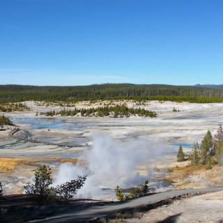 Yellowstone-Nationalpark. Porcelain Basin - Norris Geyser Basin - Yellowstone-Nationalpark. - Wasserdampf, Dampfaustritt, Holzsteg, Norris Geyser Basin, Porcelain Basin, Porcelain Basin Overlook, Boardwalk - (Canyon Junction, Yellowstone National Park, Wyoming, Vereinigte Staaten)