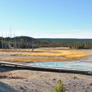 Yellowstone-Nationalpark. Porcelain Basin - Norris Geyser Basin - Yellowstone-Nationalpark. - Holzsteg, Norris Geyser Basin, Porcelain Basin, Boardwalk - (Canyon Junction, Yellowstone National Park, Wyoming, Vereinigte Staaten)