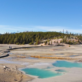 Yellowstone-Nationalpark. Porcelain Basin - Norris Geyser Basin - Yellowstone-Nationalpark. - Holzsteg, Norris Geyser Basin, Porcelain Basin, Boardwalk - (Canyon Junction, Yellowstone National Park, Wyoming, Vereinigte Staaten)