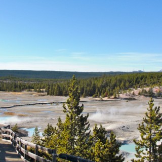 Yellowstone-Nationalpark. Porcelain Basin - Norris Geyser Basin - Yellowstone-Nationalpark. - Holzsteg, Norris Geyser Basin, Porcelain Basin, Boardwalk - (Canyon Junction, Yellowstone National Park, Wyoming, Vereinigte Staaten)