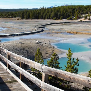 Yellowstone-Nationalpark. Porcelain Basin - Norris Geyser Basin - Yellowstone-Nationalpark. - Holzsteg, Norris Geyser Basin, Porcelain Basin, Boardwalk - (Canyon Junction, Yellowstone National Park, Wyoming, Vereinigte Staaten)