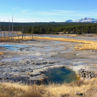Yellowstone-Nationalpark. Porcelain Basin - Norris Geyser Basin - Yellowstone-Nationalpark. - Norris Geyser Basin, Porcelain Basin - (Canyon Junction, Yellowstone National Park, Wyoming, Vereinigte Staaten)