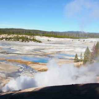 Yellowstone-Nationalpark. Porcelain Basin - Norris Geyser Basin - Yellowstone-Nationalpark. - Norris Geyser Basin, Porcelain Basin - (Canyon Junction, Yellowstone National Park, Wyoming, Vereinigte Staaten)