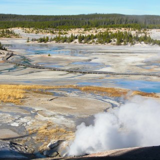Yellowstone-Nationalpark. Porcelain Basin - Norris Geyser Basin - Yellowstone-Nationalpark. - Norris Geyser Basin, Porcelain Basin - (Canyon Junction, Yellowstone National Park, Wyoming, Vereinigte Staaten)