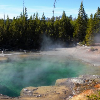 Yellowstone-Nationalpark. Emerald Spring, Norris Geyser Basin - Yellowstone-Nationalpark. - Norris Geyser Basin, Emerald Spring - (Canyon Junction, Yellowstone National Park, Wyoming, Vereinigte Staaten)