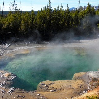 Yellowstone-Nationalpark. Emerald Spring, Norris Geyser Basin - Yellowstone-Nationalpark. - Norris Geyser Basin, Emerald Spring - (Canyon Junction, Yellowstone National Park, Wyoming, Vereinigte Staaten)