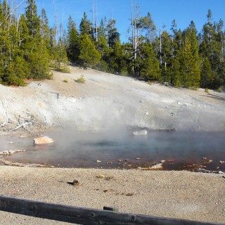 Yellowstone-Nationalpark. Echinus Geyser, Back Basin - Norris Geyser Basin - Yellowstone-Nationalpark. - Norris Geyser Basin, Back Basin, Echinus Geyser - (Canyon Junction, Yellowstone National Park, Wyoming, Vereinigte Staaten)