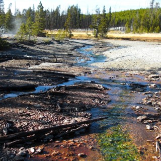Yellowstone-Nationalpark. Tantalus Creek, Back Basin - Norris Geyser Basin - Yellowstone-Nationalpark. - Norris Geyser Basin, Back Basin, Tantalus Creek - (Canyon Junction, Yellowstone National Park, Wyoming, Vereinigte Staaten)