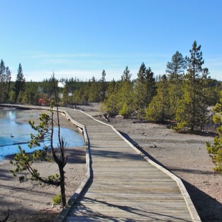 Yellowstone-Nationalpark. Back Basin - Norris Geyser Basin - Yellowstone-Nationalpark. - Holzsteg, Norris Geyser Basin, Boardwalk, Back Basin - (Canyon Junction, Yellowstone National Park, Wyoming, Vereinigte Staaten)