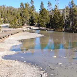 Yellowstone-Nationalpark. Back Basin - Norris Geyser Basin - Yellowstone-Nationalpark. - Holzsteg, Norris Geyser Basin, Boardwalk, Back Basin - (Canyon Junction, Yellowstone National Park, Wyoming, Vereinigte Staaten)