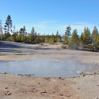 Yellowstone-Nationalpark. Yellow Mud Pool, Back Basin - Norris Geyser Basin - Yellowstone-Nationalpark. - Norris Geyser Basin, Back Basin, Yellow Mud Pool - (Canyon Junction, Yellowstone National Park, Wyoming, Vereinigte Staaten)
